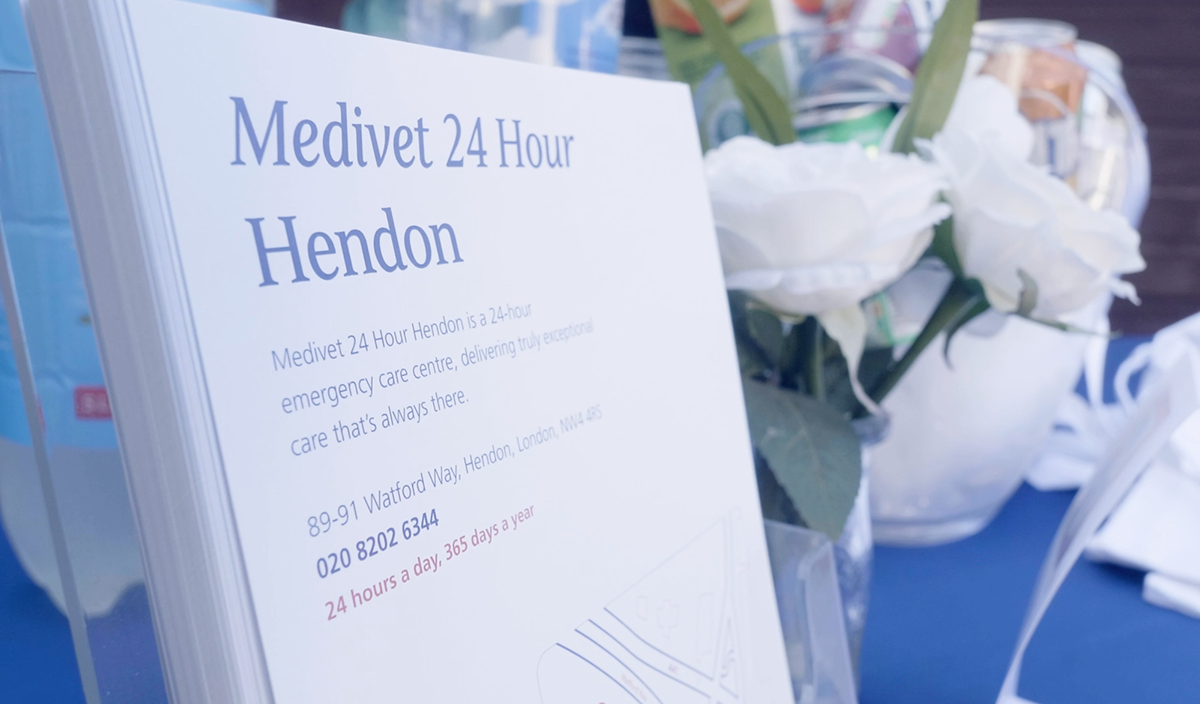 In-practice Branding - Medivet - view 3